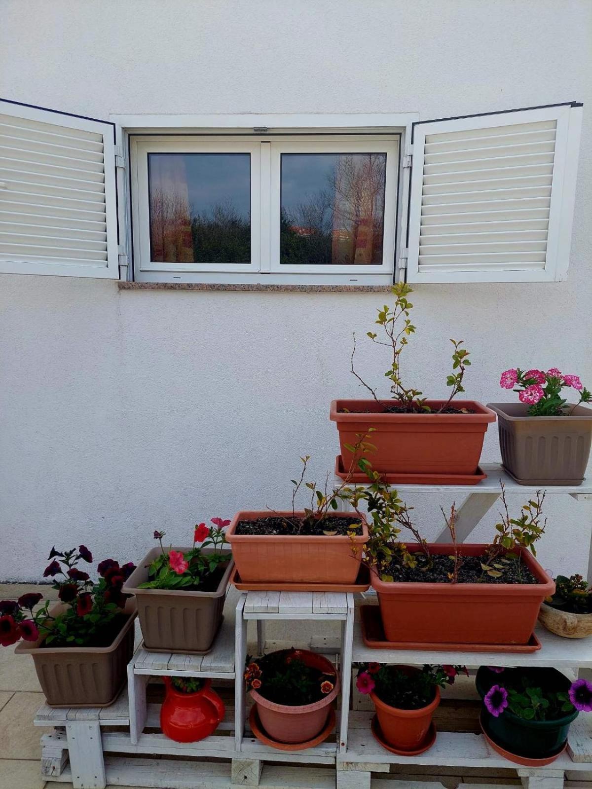 Rooms Hodanic Krk Town Rom bilde